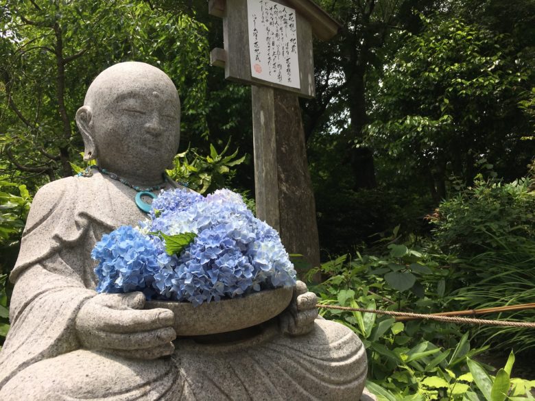 鎌倉 明月院 あじさい寺 紫陽花の開花状況と混雑回避する３つの方法とは 気になるコト