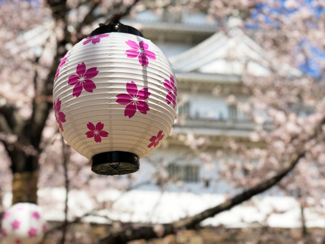 小倉城桜まつり 見頃時期や開花状況は イベントや出店もいっぱい 気になるコト